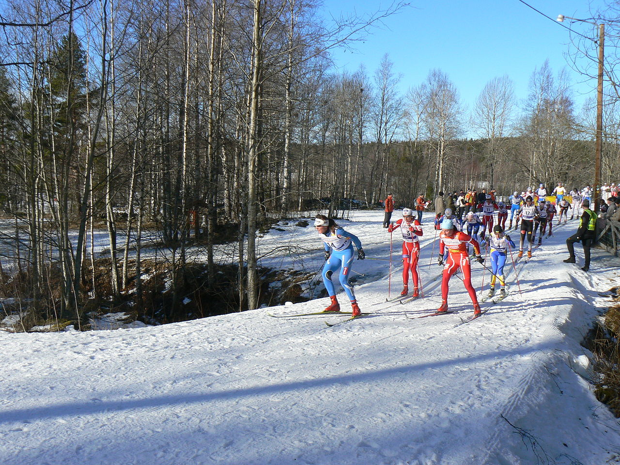Svenska Skidspelen i Falun 2008. Foto: Skvattram